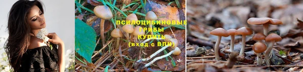 шишки Навашино