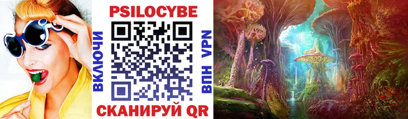 Псилоцибиновые грибы Psilocybe  Омутнинск 