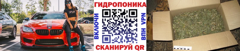 kraken ONION  Омутнинск  Марихуана марихуана 